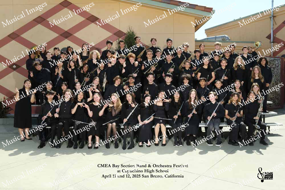 Musical Images